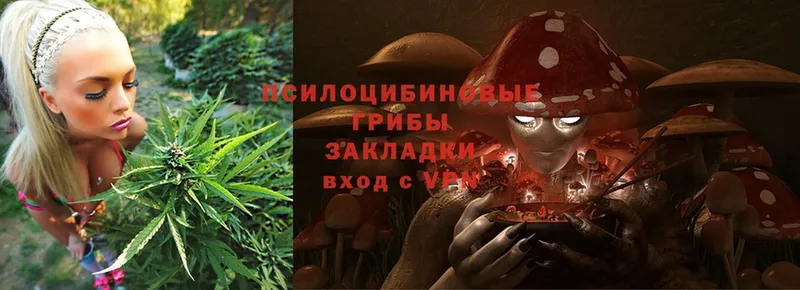 Псилоцибиновые грибы MAGIC MUSHROOMS  Норильск 